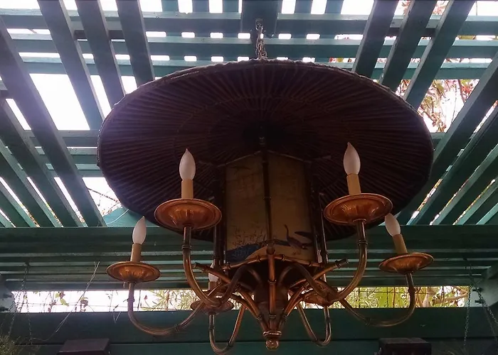 Don's Elegante Phoenix